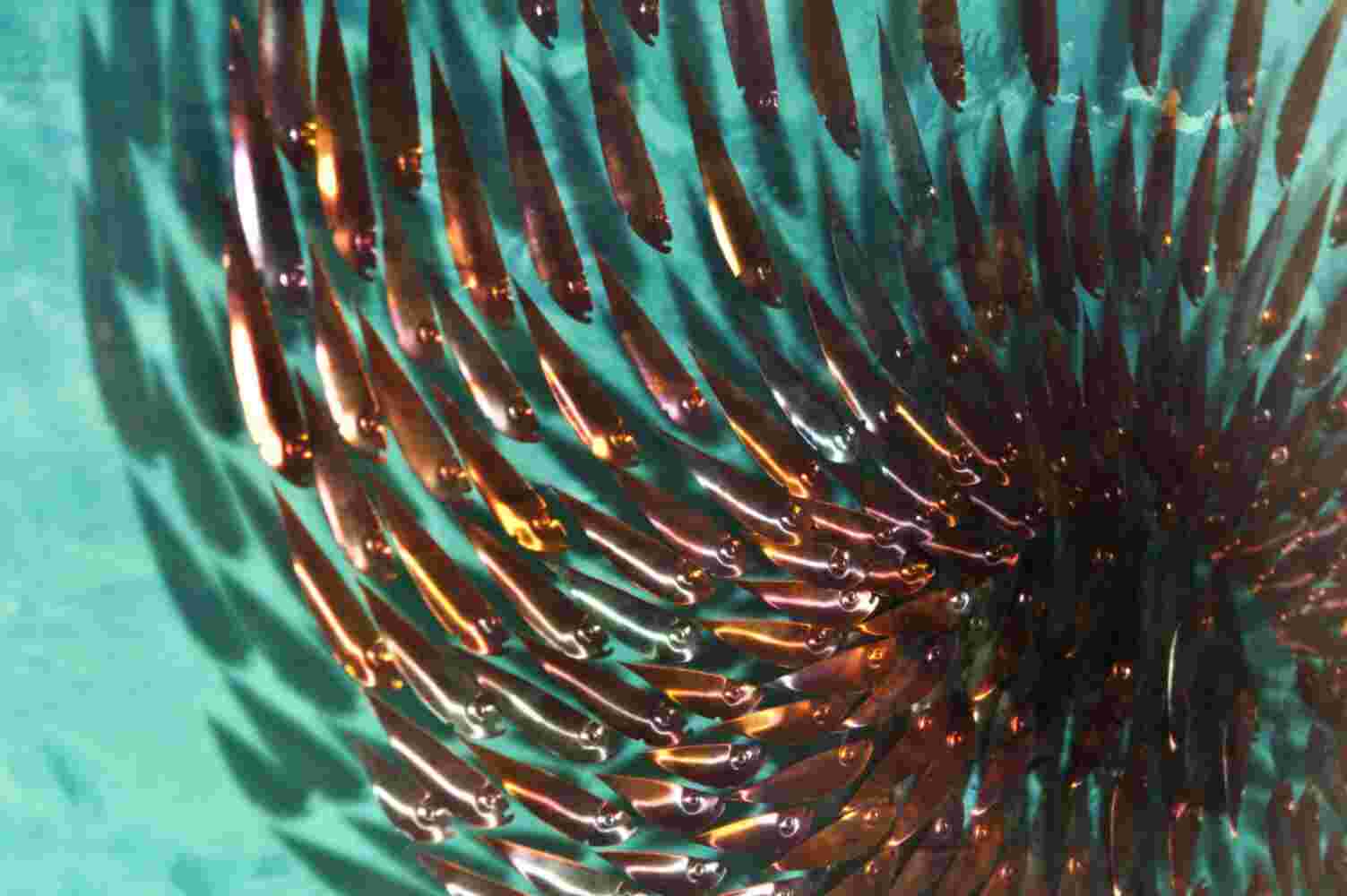 Three-dimensional wall sculpture, school of fish theme, with layers of plexiglass, aluminum frame and fishball of aluminum and copper fish.