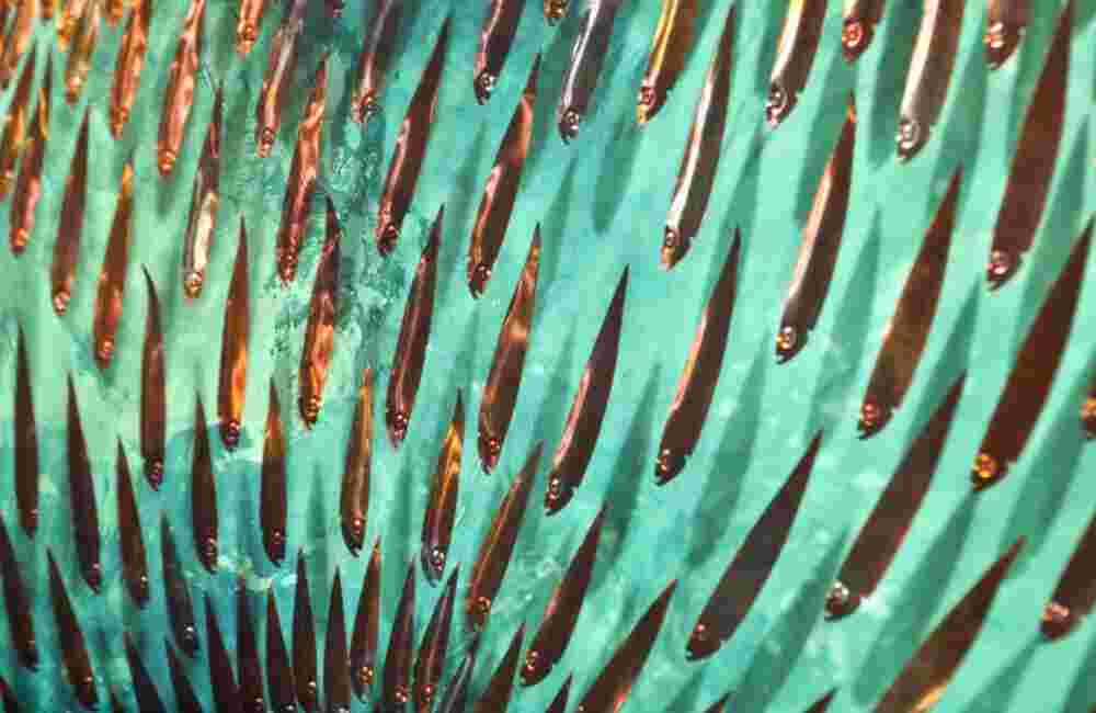 Three-dimensional wall sculpture, school of fish theme, with layers of plexiglass, aluminum frame and fishball of aluminum and copper fish.