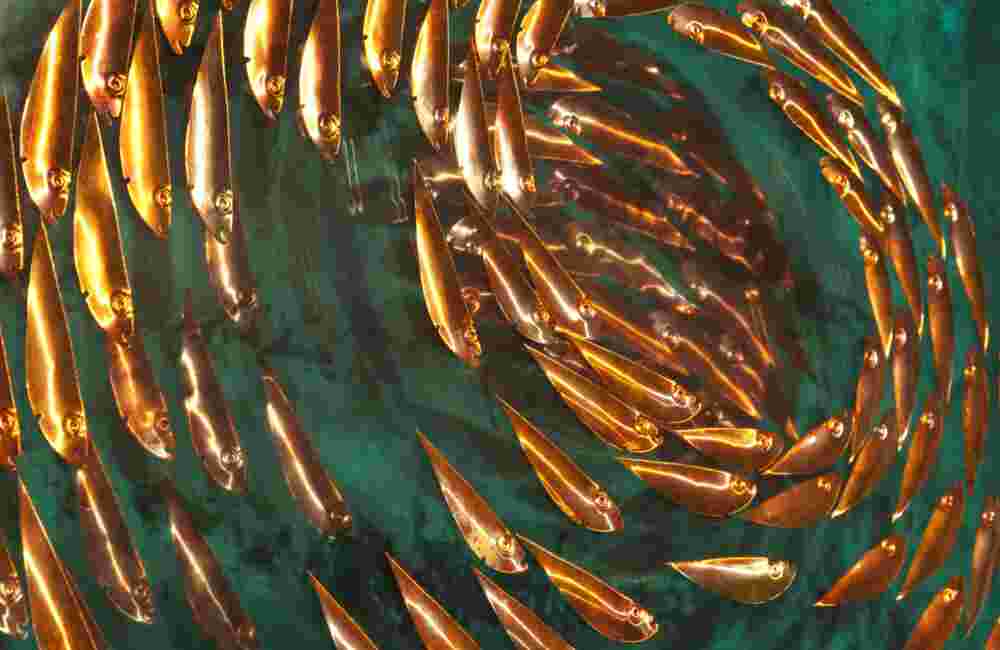 Three-dimensional wall sculpture, school of fish theme, with layers of plexiglass, aluminum frame and spherical copper fish.