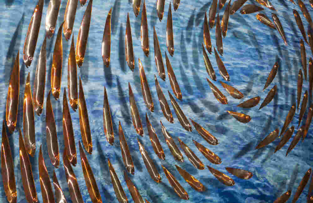 Three-dimensional wall sculpture, school of fish theme, with layers of plexiglass, aluminum frame and spherical aluminum fish.
