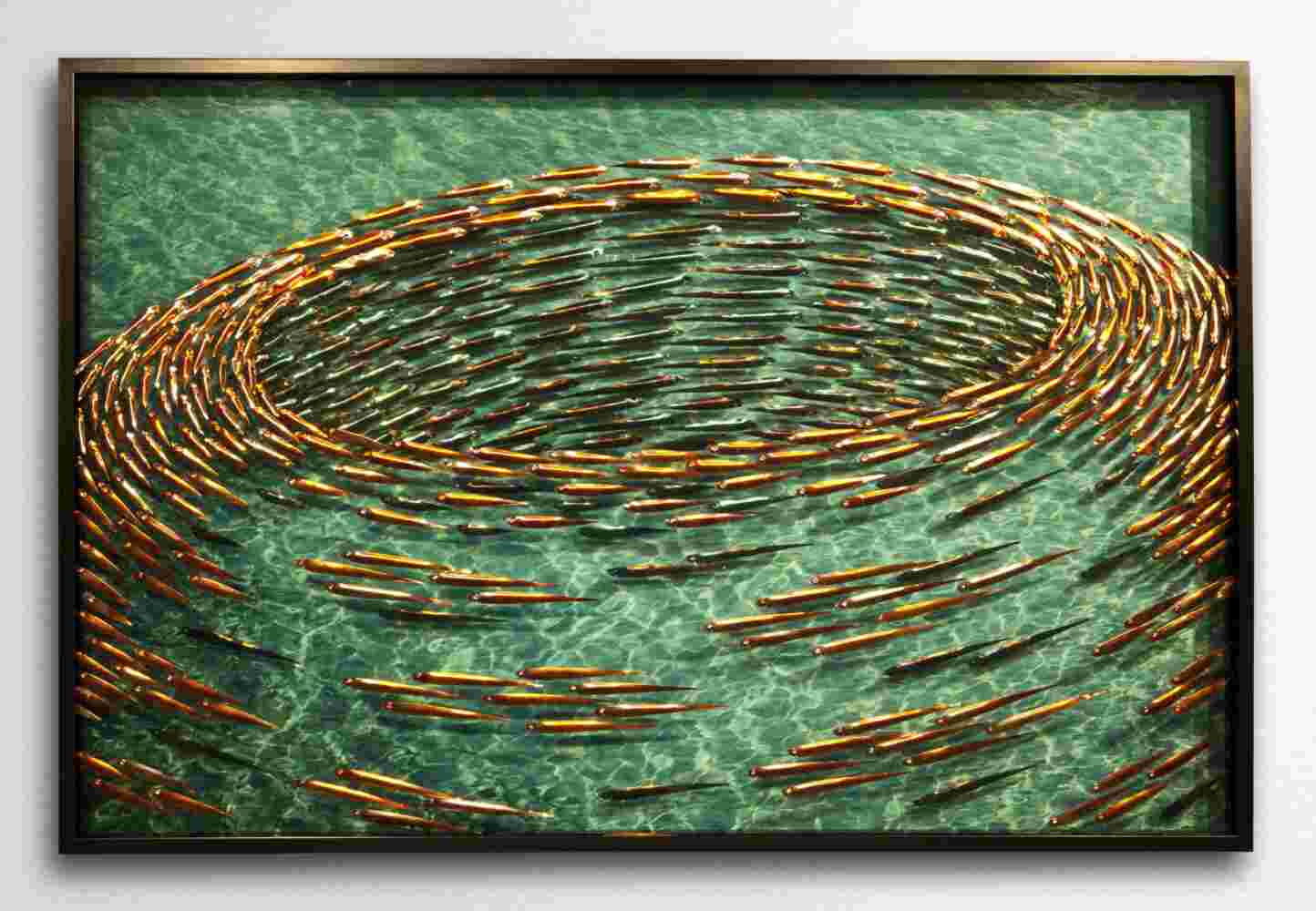 Three-dimensional wall sculpture, school of fish theme, with layers of plexiglass, aluminum frame and swirling aluminum and copper fish.