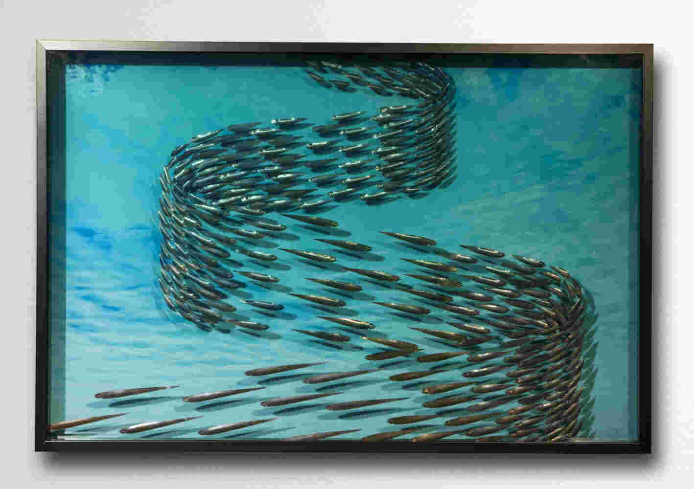 Three-dimensional wall sculpture, school of fish theme, with layers of plexiglass, aluminum frame and swirling copper fish.