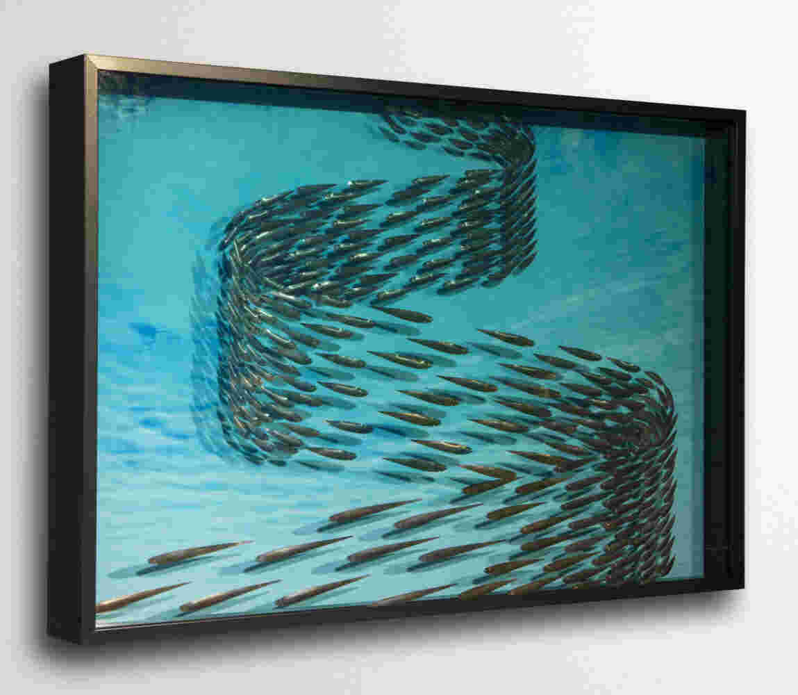 Three-dimensional wall sculpture, school of fish theme, with layers of plexiglass, aluminum frame and swirling copper fish.