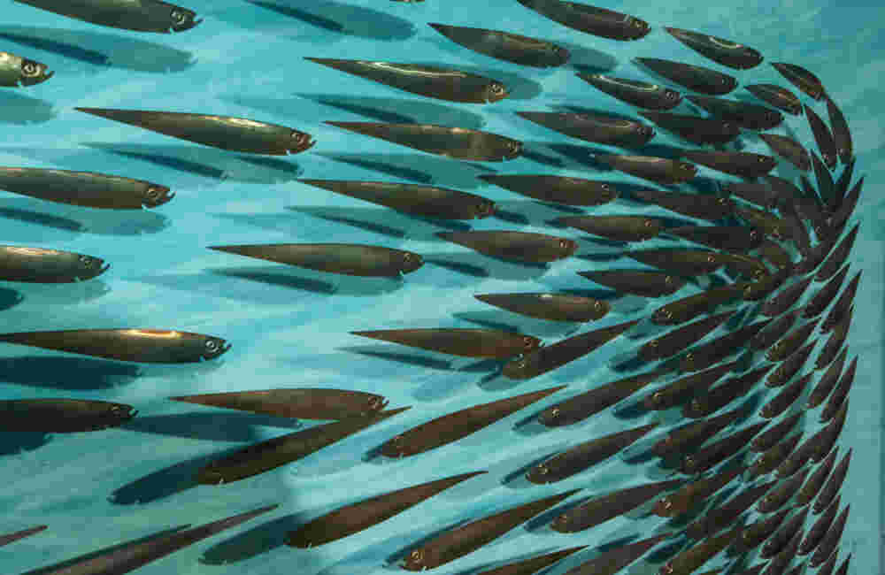 Three-dimensional wall sculpture, school of fish theme, with layers of plexiglass, aluminum frame and swirling copper fish.