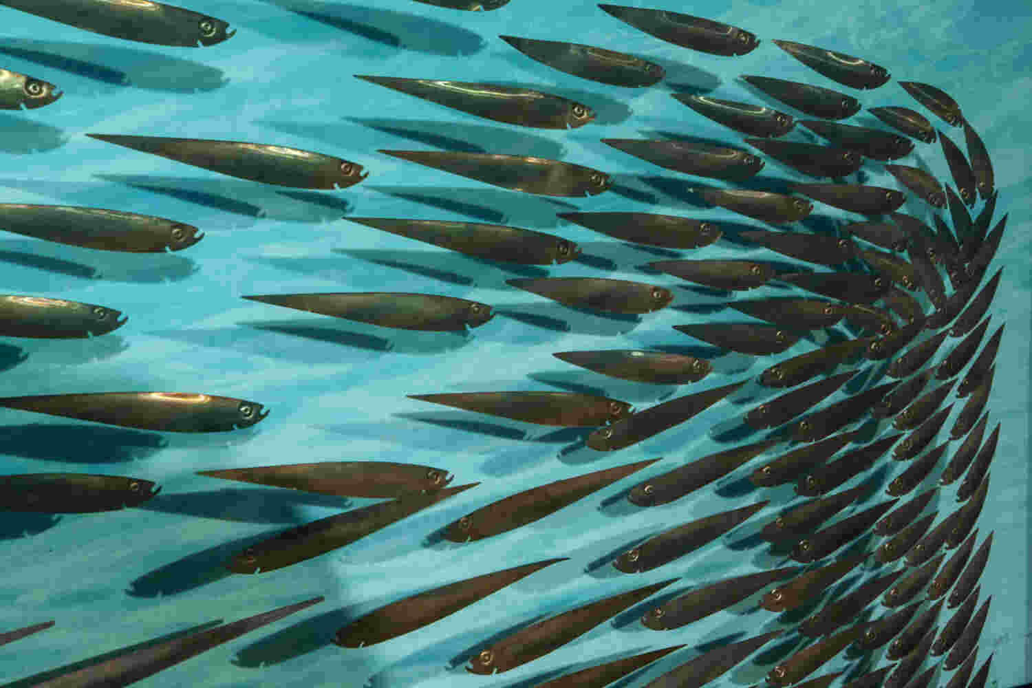 Three-dimensional wall sculpture, school of fish theme, with layers of plexiglass, aluminum frame and swirling copper fish.