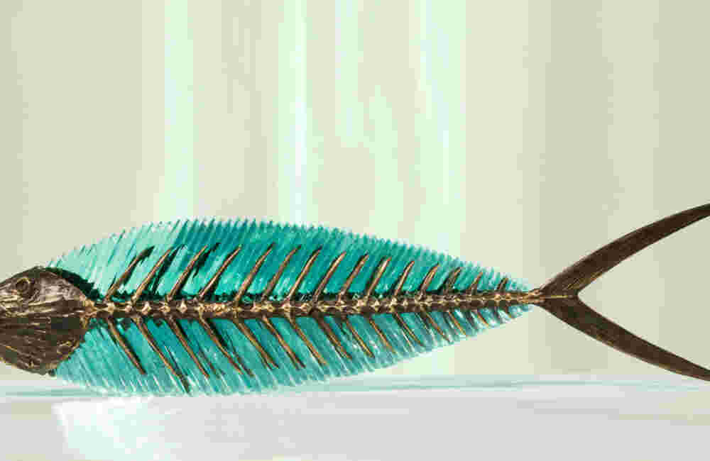 Hand cut glass and bronze sculpture of a fish.